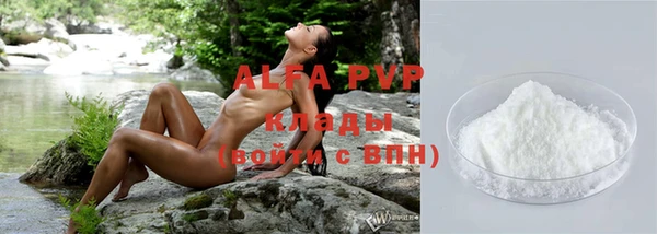 индика Новый Уренгой