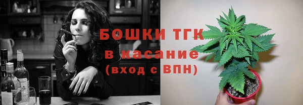 индика Новый Уренгой