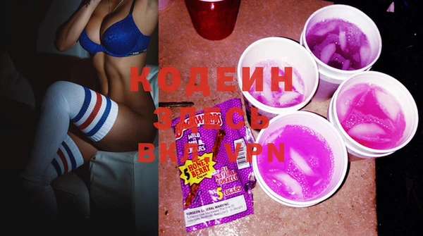 индика Новый Уренгой