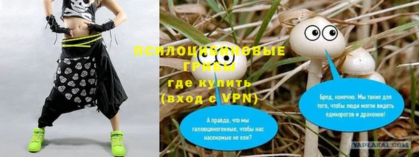индика Новый Уренгой