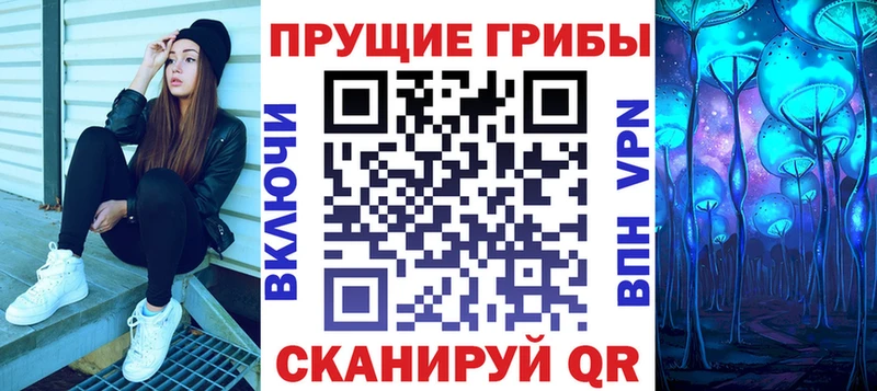 где можно купить Заволжск omg Псилоцибиновые грибы MAGIC MUSHROOMS